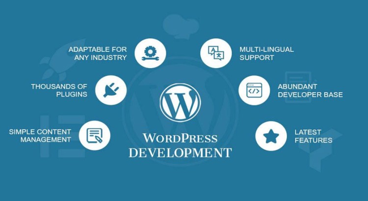 I will create Custom WordPress Website Design & Development tailored to your brand