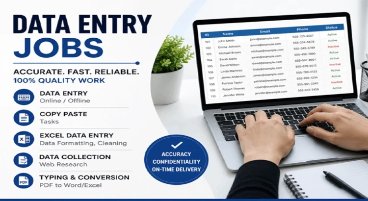 I will do accurate data entry, copy paste, web research, excel data entry jobs